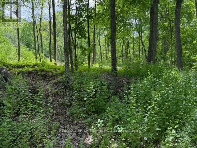 325 Cedar Sands Road Property Photo 14
