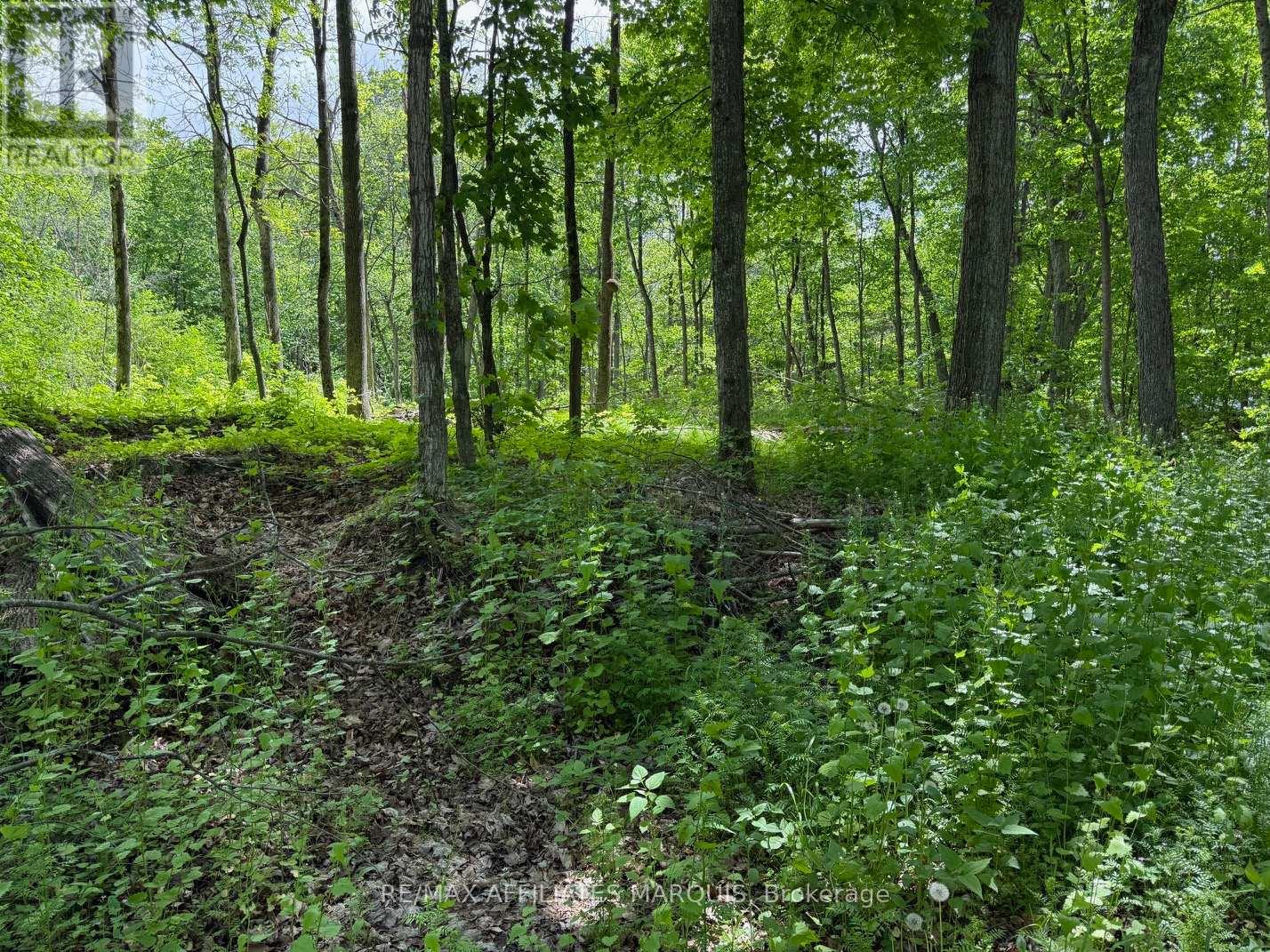 325 Cedar Sands Road Property Photo 15
