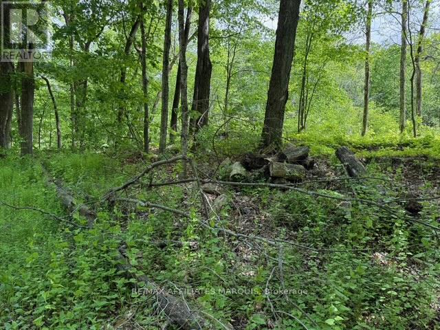 325 Cedar Sands Road Property Photo 16