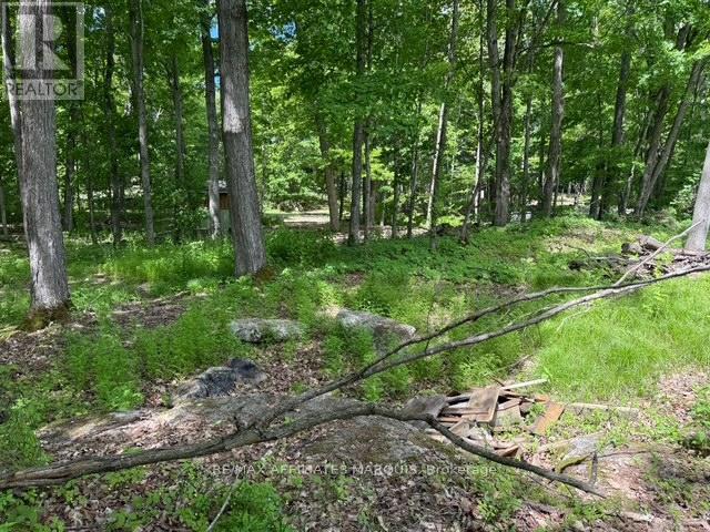 325 Cedar Sands Road Property Photo 17