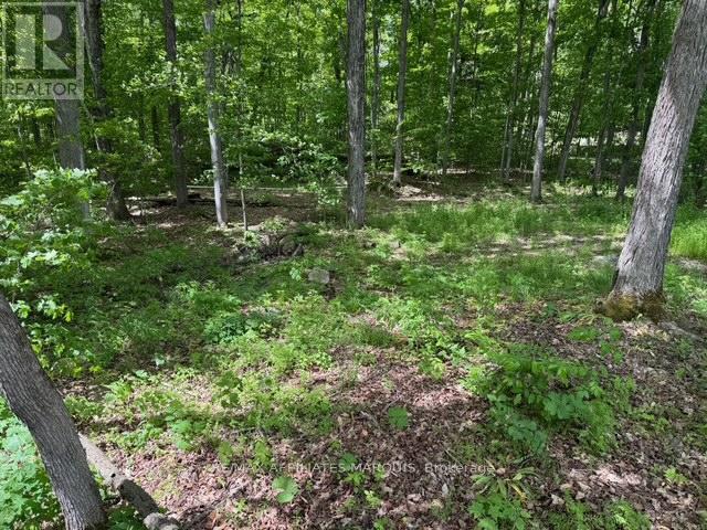 325 Cedar Sands Road Property Photo 18