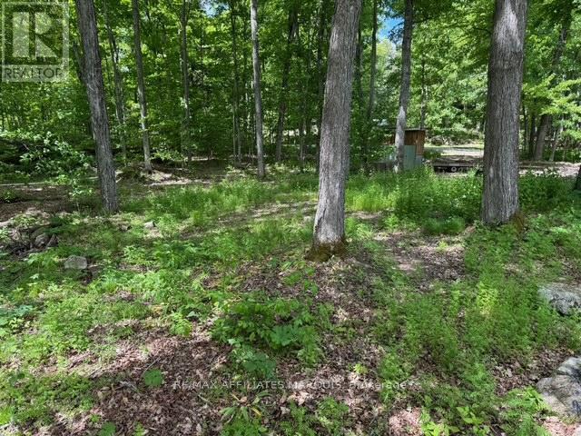 325 Cedar Sands Road Property Photo 19