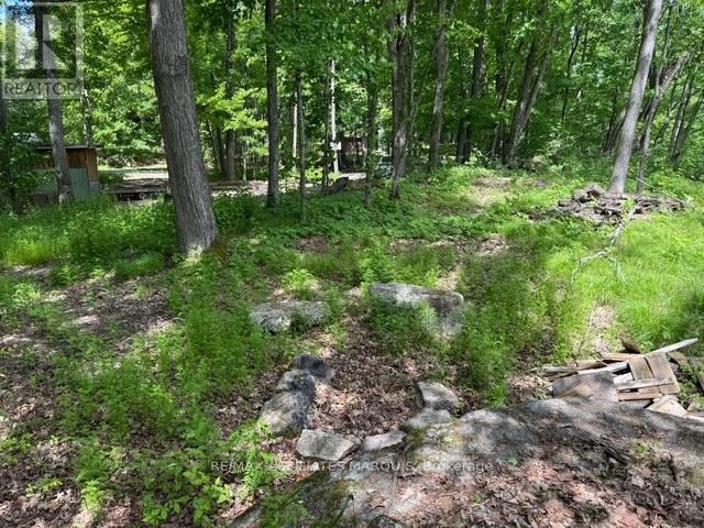 325 Cedar Sands Road Property Photo 21
