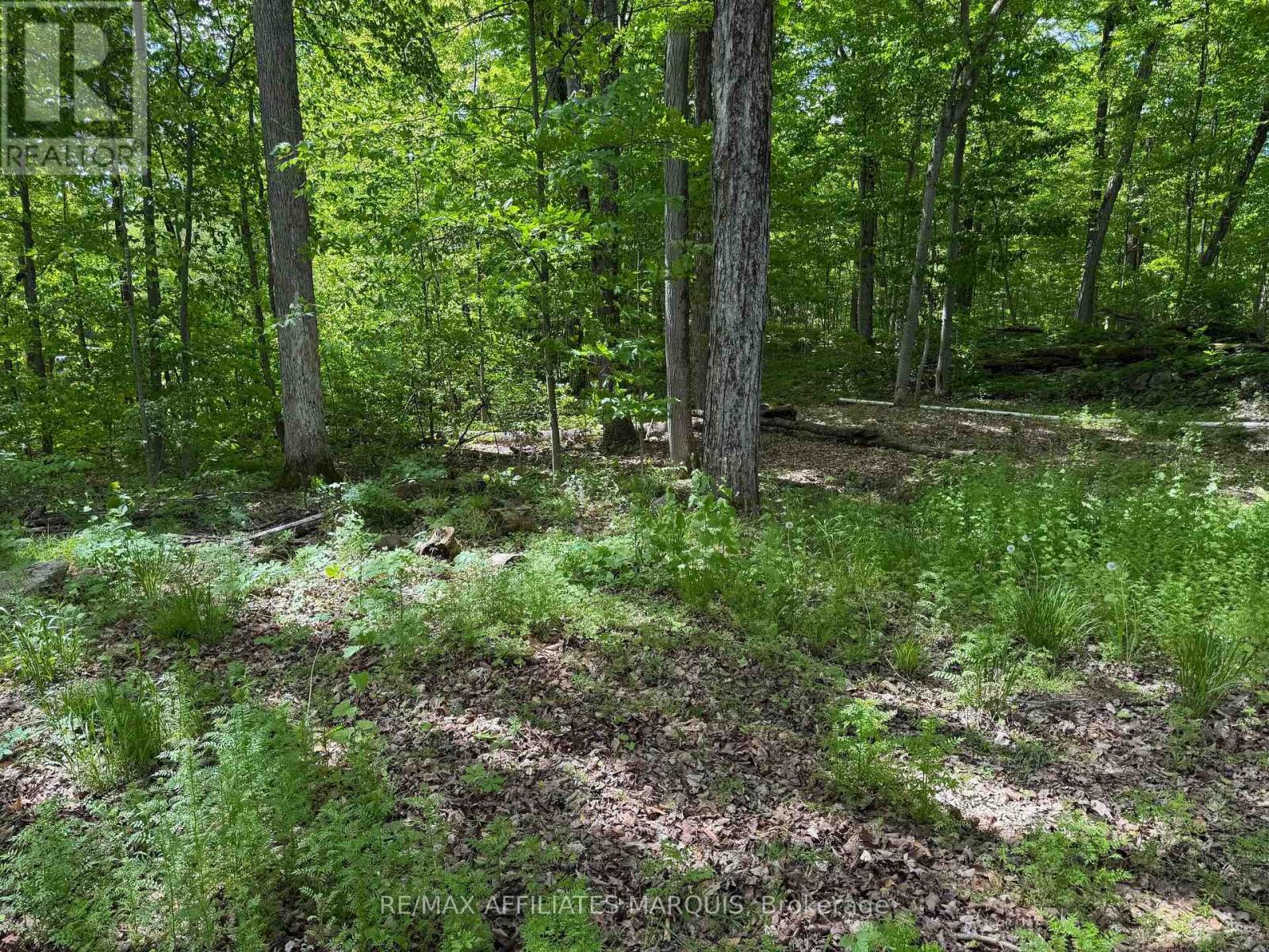 325 Cedar Sands Road Property Photo 22