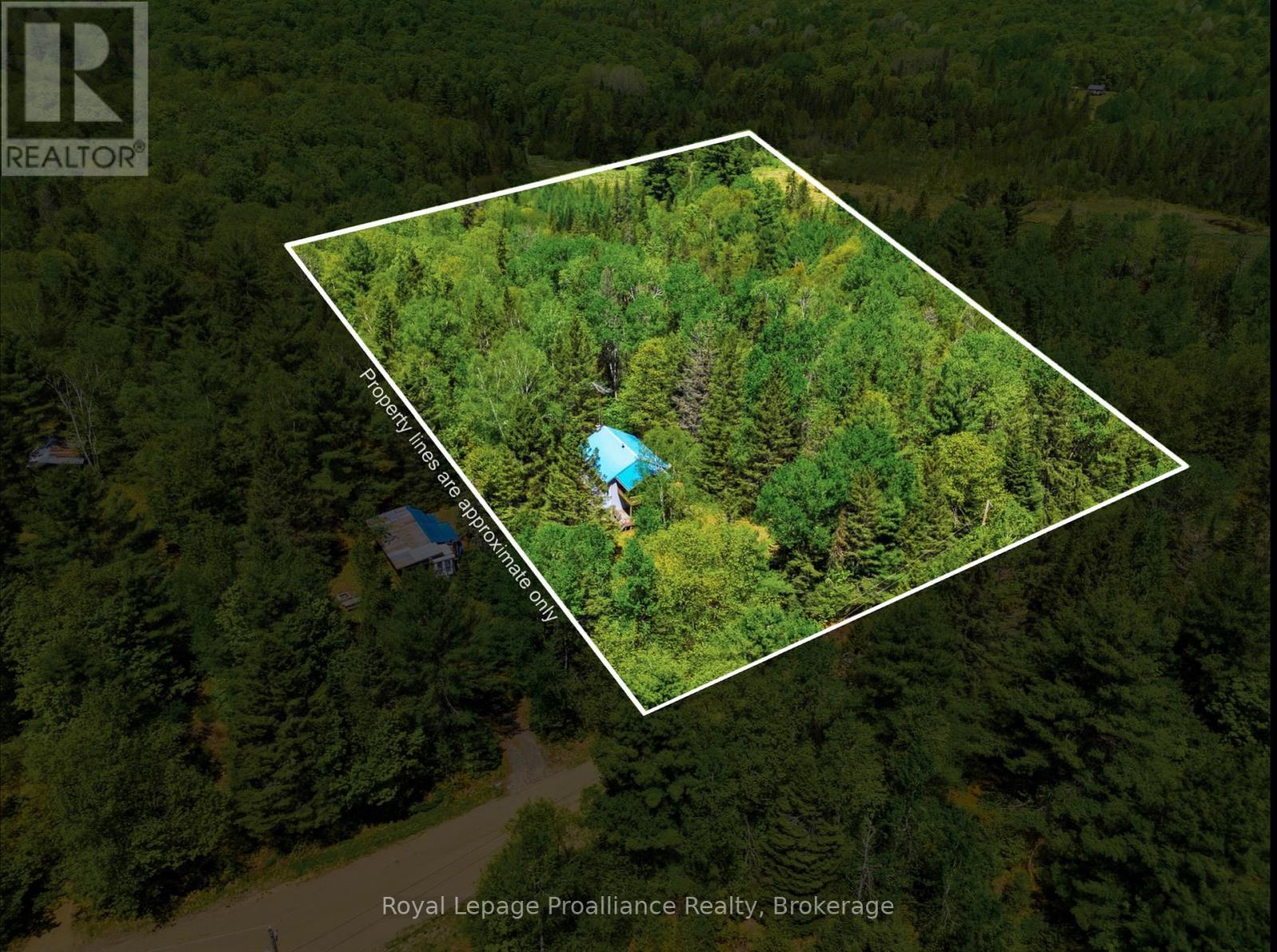 339 Little Finch Lake Road Property Photo 3