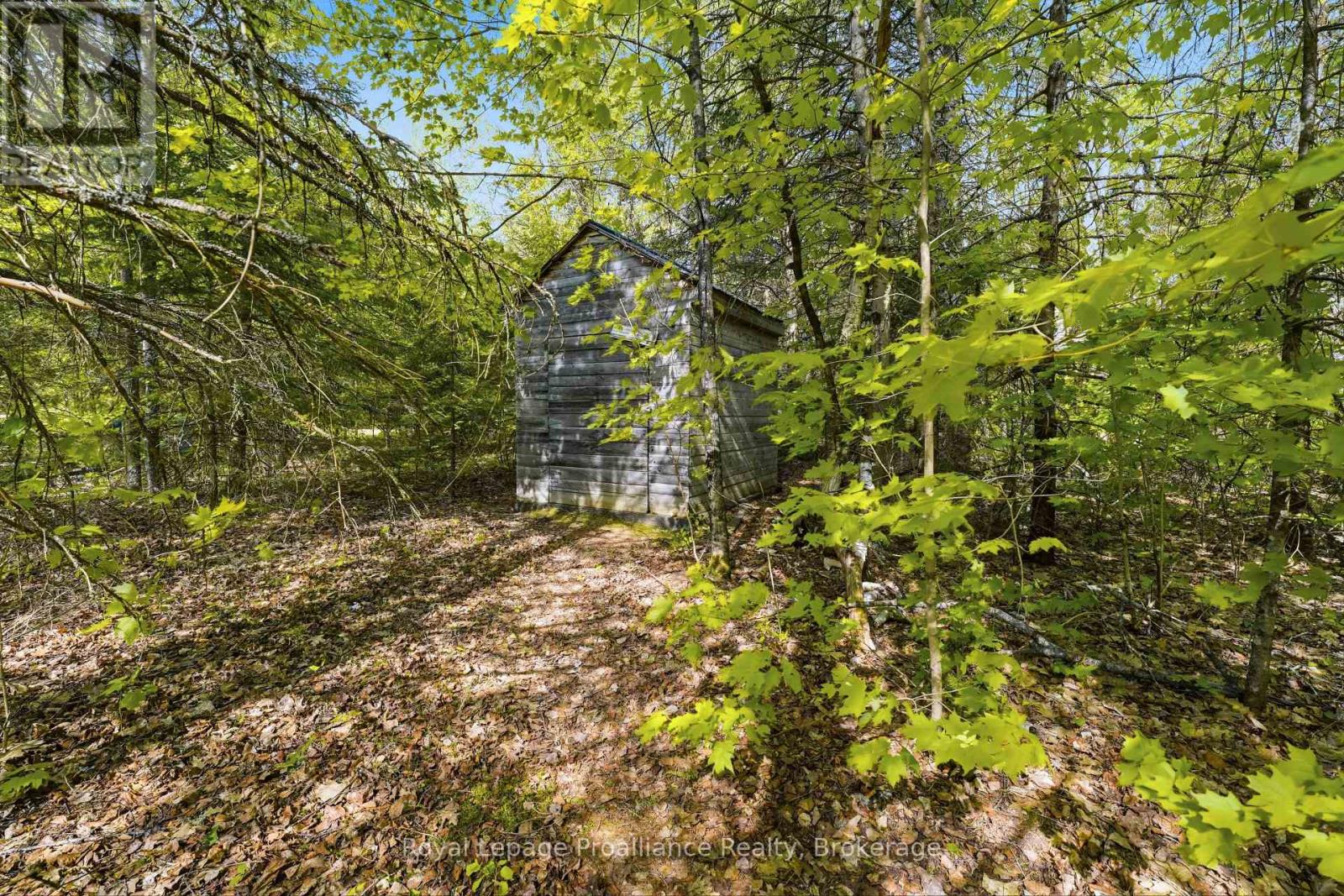 339 Little Finch Lake Road Property Photo 35