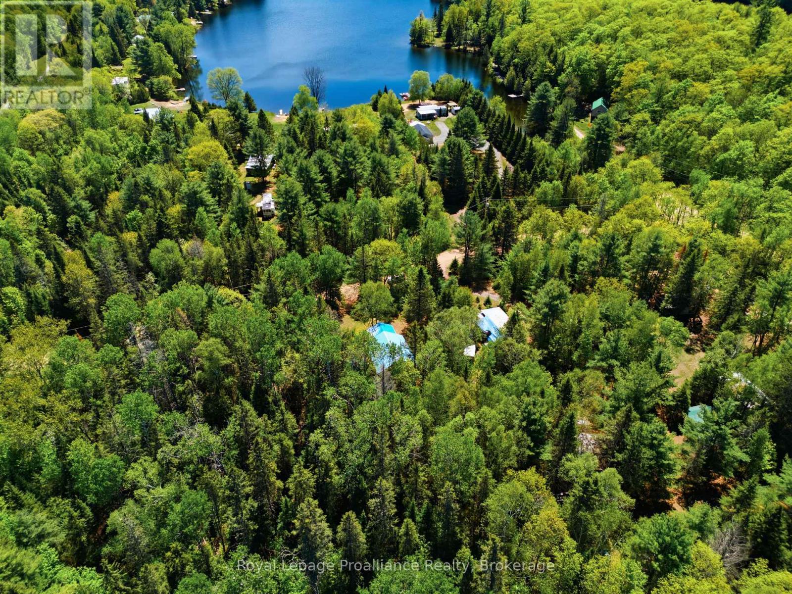 339 Little Finch Lake Road Property Photo 40