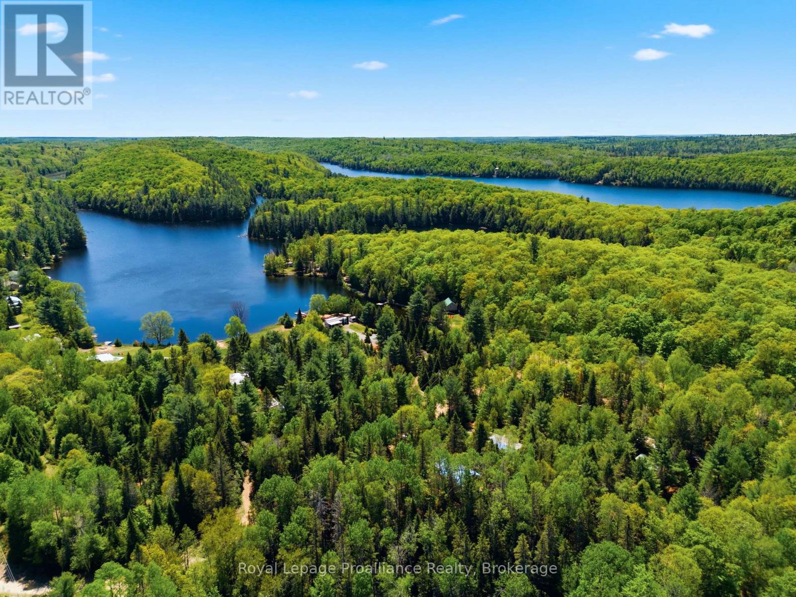 339 Little Finch Lake Road Property Photo 48