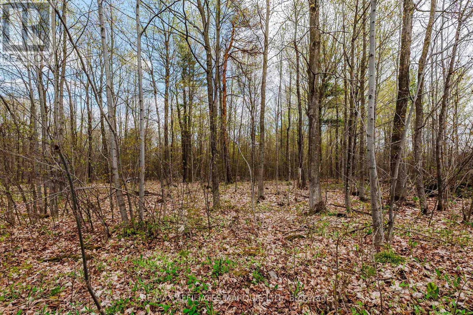 00000 Beaver Brook Road Property Photo 8