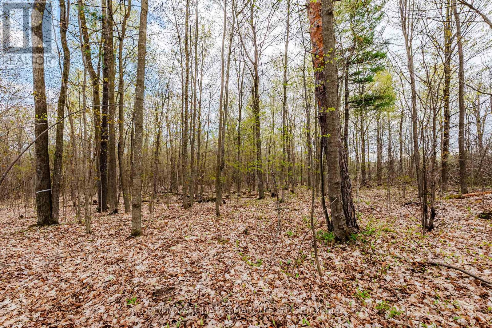 00000 Beaver Brook Road Property Photo 9
