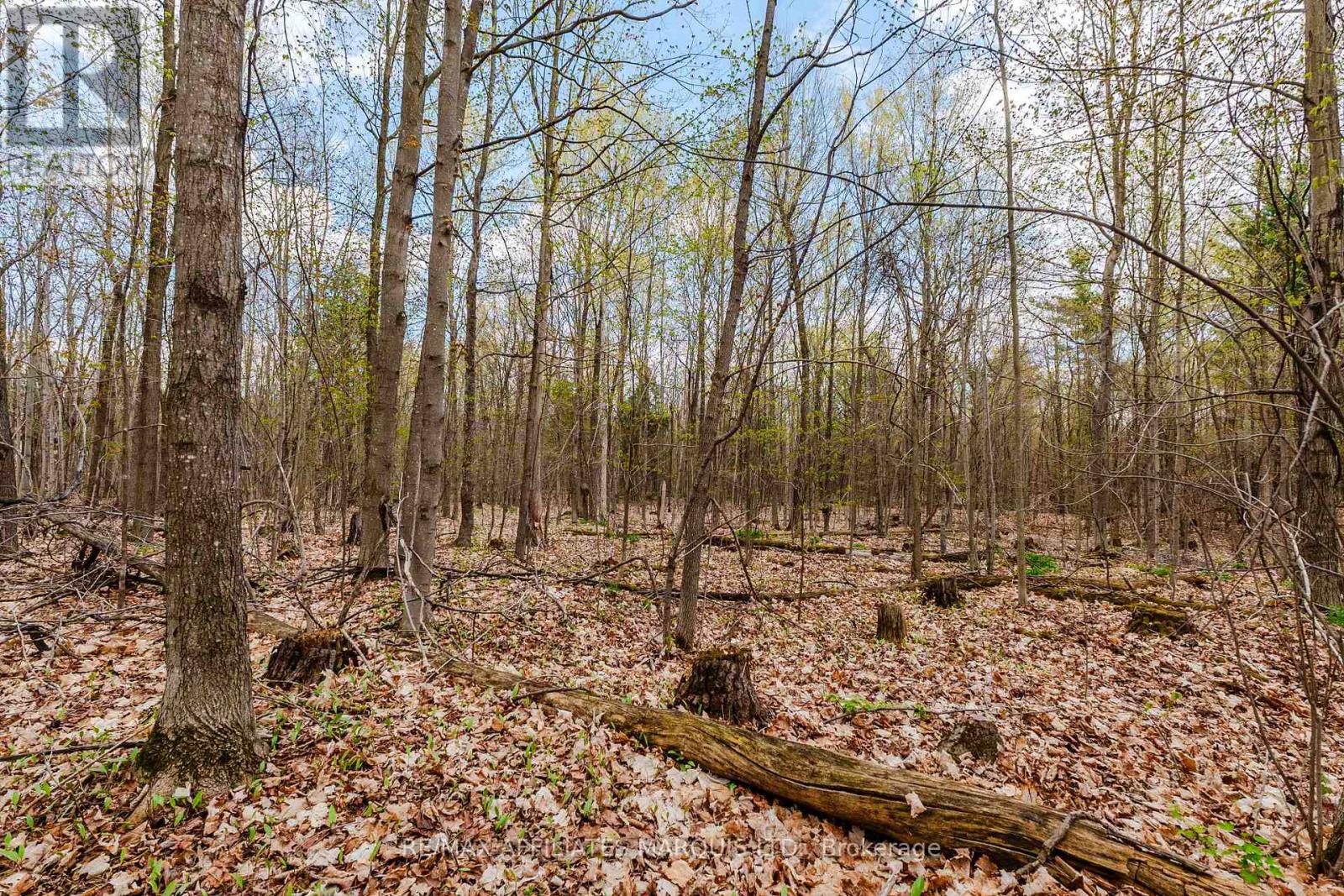 00000 Beaver Brook Road Property Photo 10