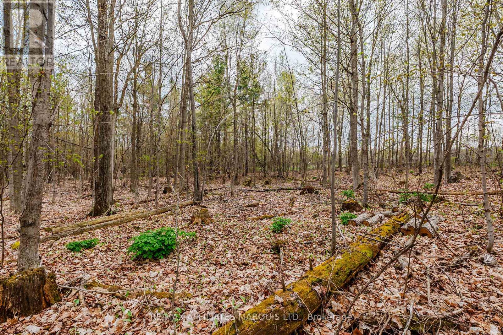 00000 Beaver Brook Road Property Photo 12
