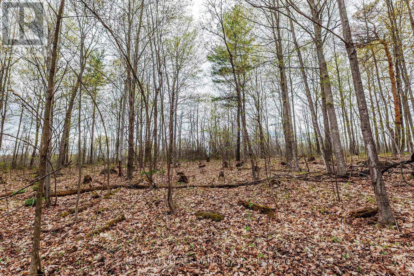 00000 Beaver Brook Road Property Photo 13