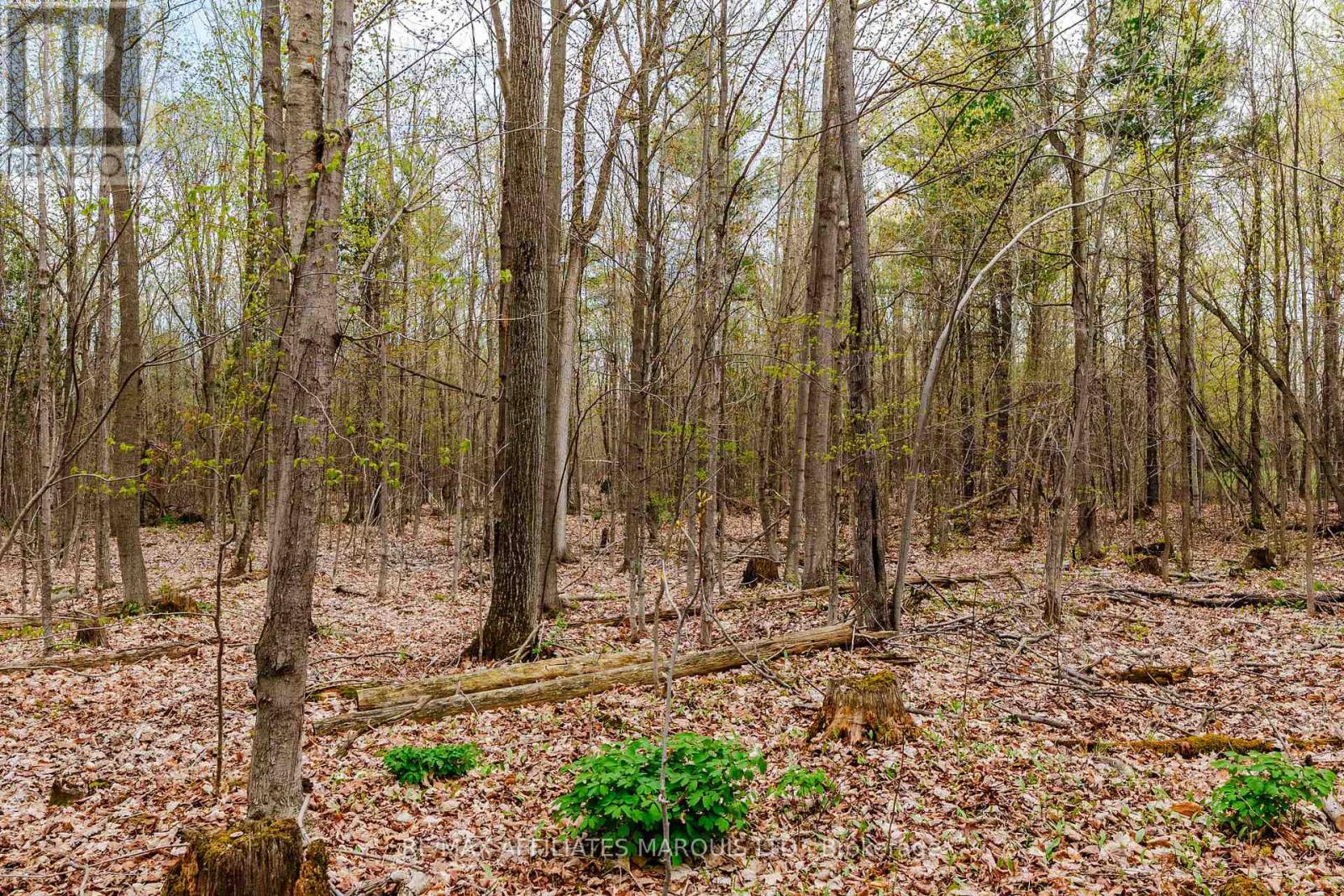 00000 Beaver Brook Road Property Photo 14