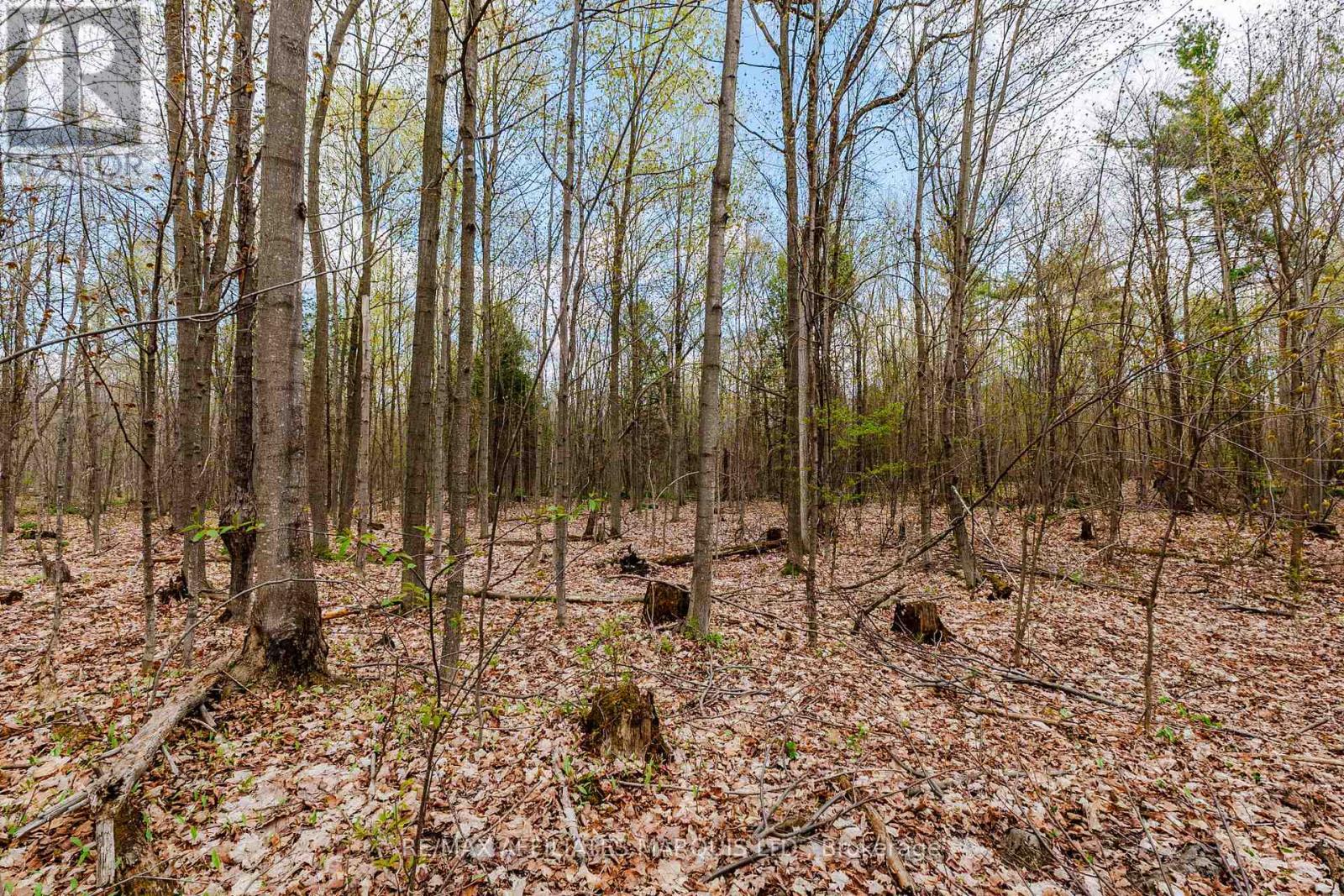 00000 Beaver Brook Road Property Photo 15