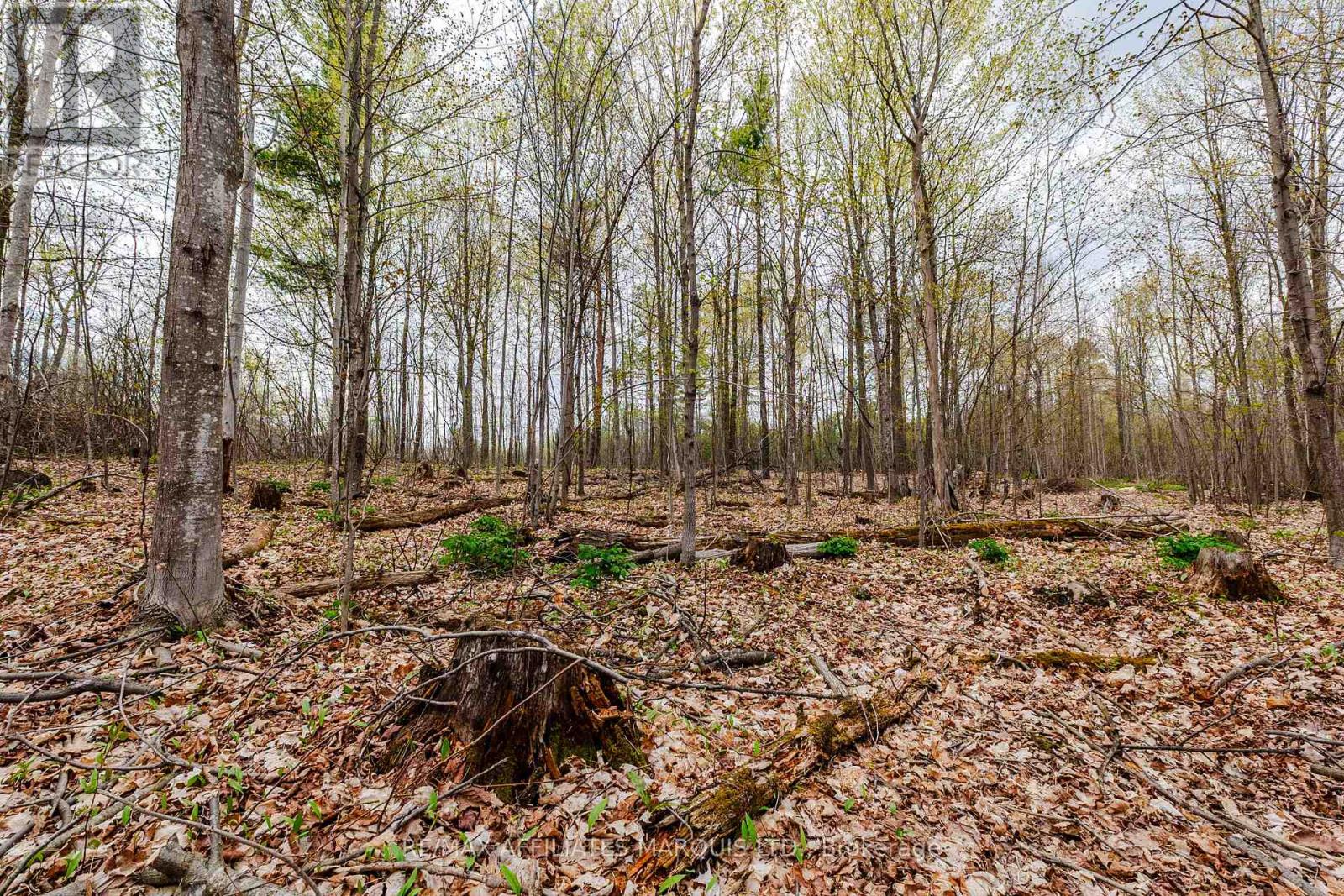 00000 Beaver Brook Road Property Photo 16
