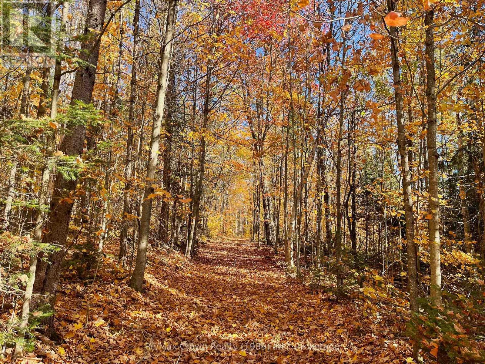 0 20th Side Road Photo de la propriété 1