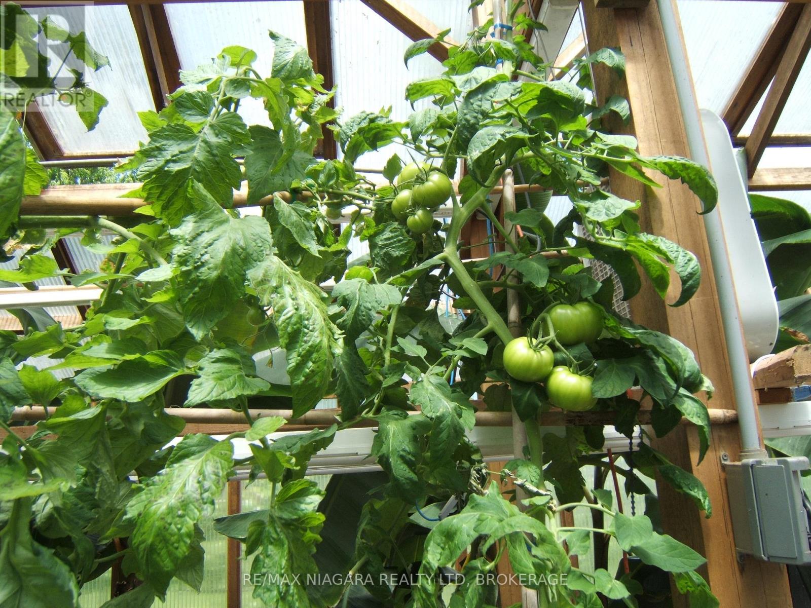 63023 Perry Road Property Photo 42