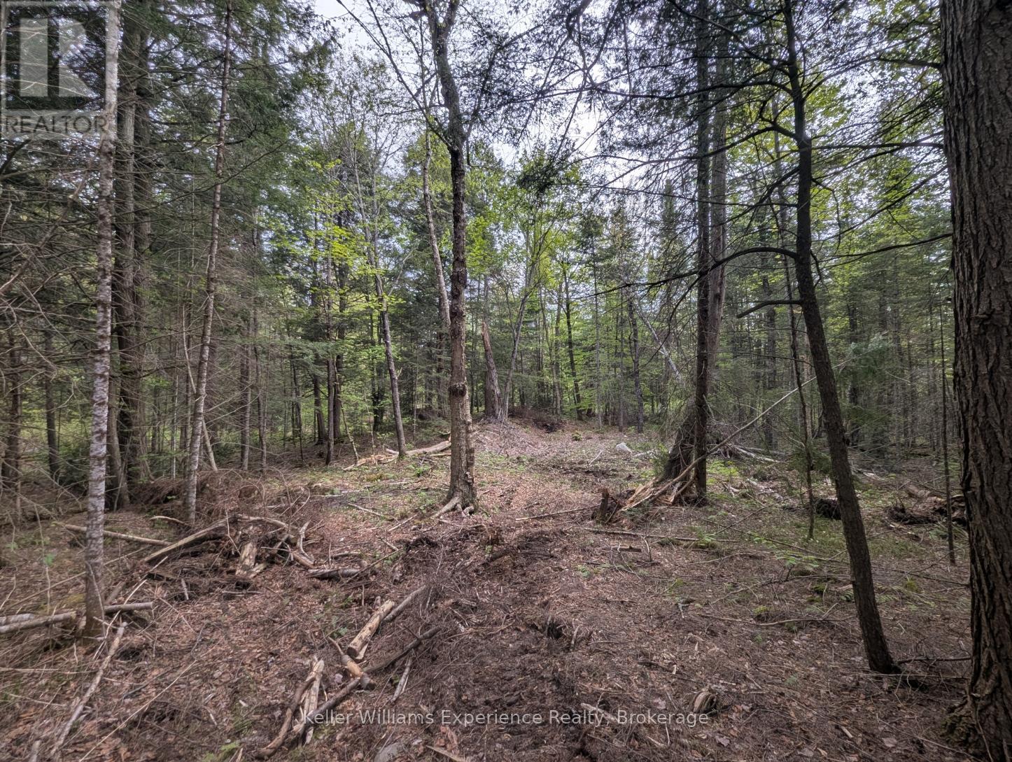 1366 Echo Ridge Road Property Photo 7