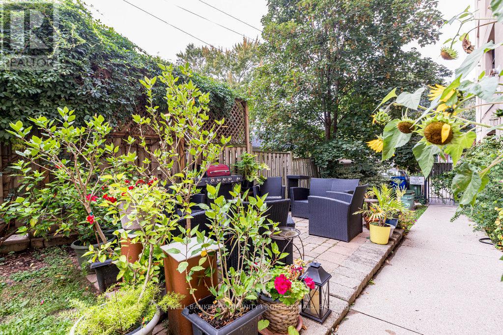 44 - 36 Margaret Street Property Photo 45