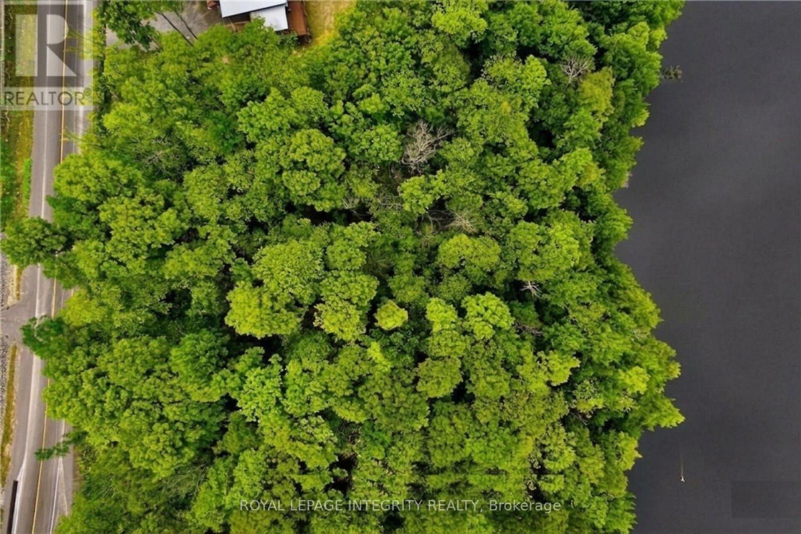 131 Shady Maple Road Property Photo 8