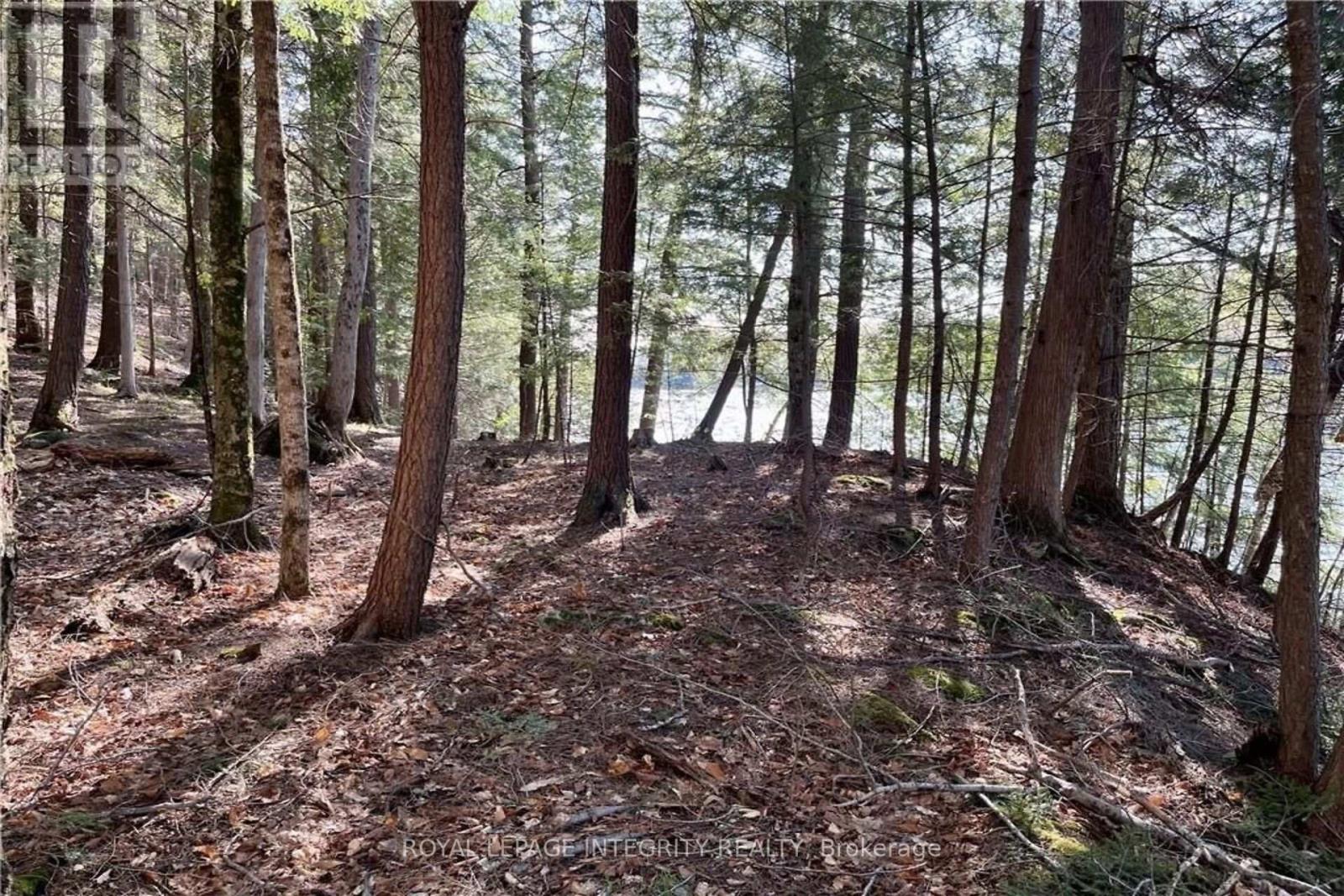 131 Shady Maple Road Property Photo 12