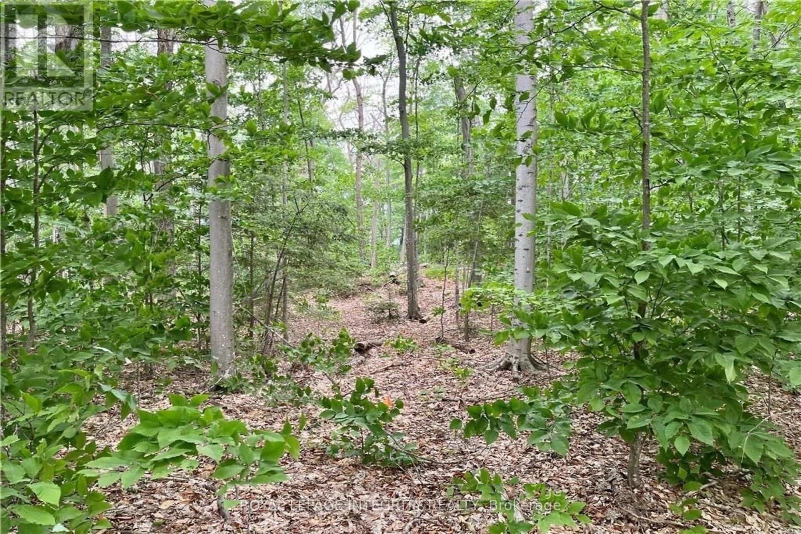 131 Shady Maple Road Property Photo 25