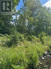 493 Buttermilk Lane Property Photo 8