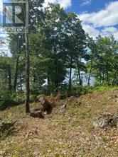 493 Buttermilk Lane Property Photo 9