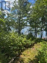 493 Buttermilk Lane Property Photo 10