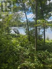 493 Buttermilk Lane Property Photo 11