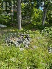 493 Buttermilk Lane Property Photo 18