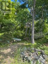 493 Buttermilk Lane Property Photo 19