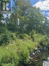 493 Buttermilk Lane Property Photo 23