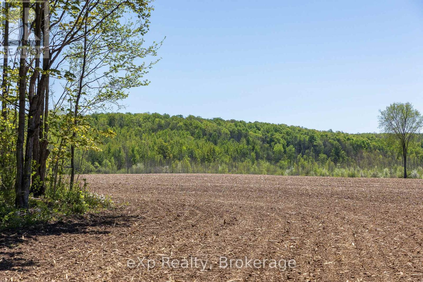 157659 7th Line Property Photo 28