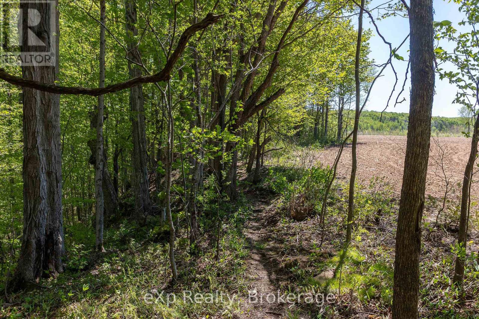 157659 7th Line Property Photo 30