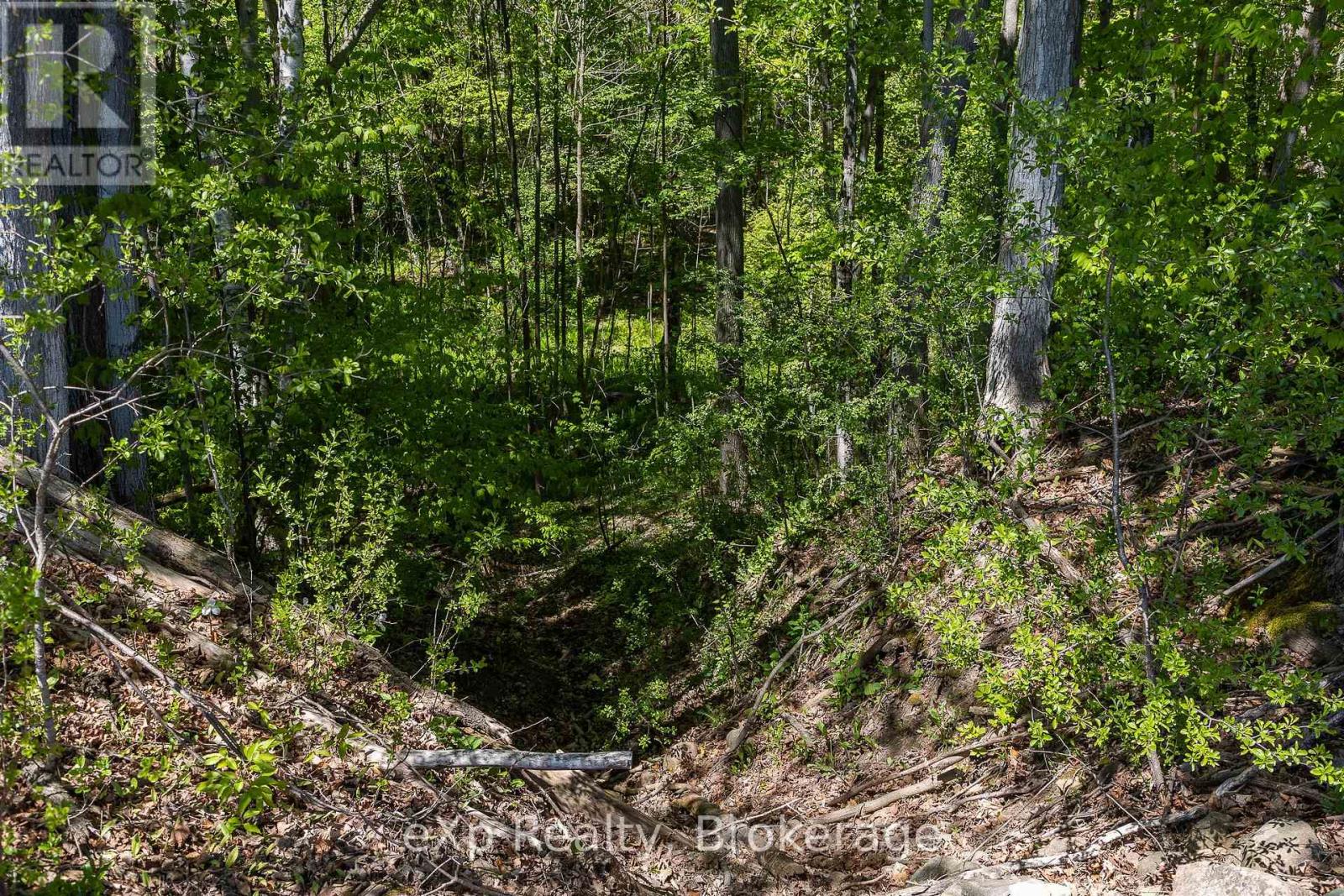 157659 7th Line Property Photo 31