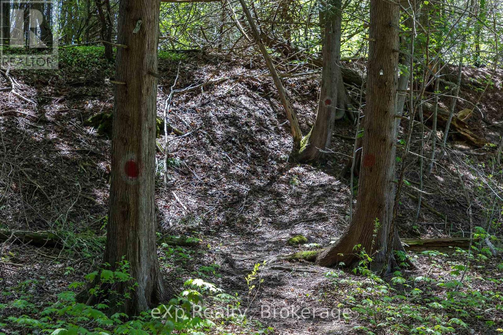 157659 7th Line Property Photo 33