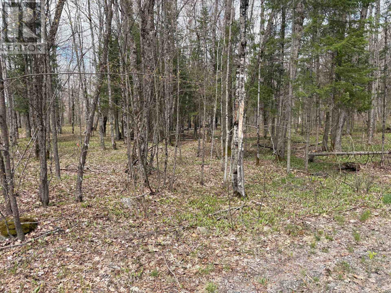 0 Dauncey Road Property Photo 1