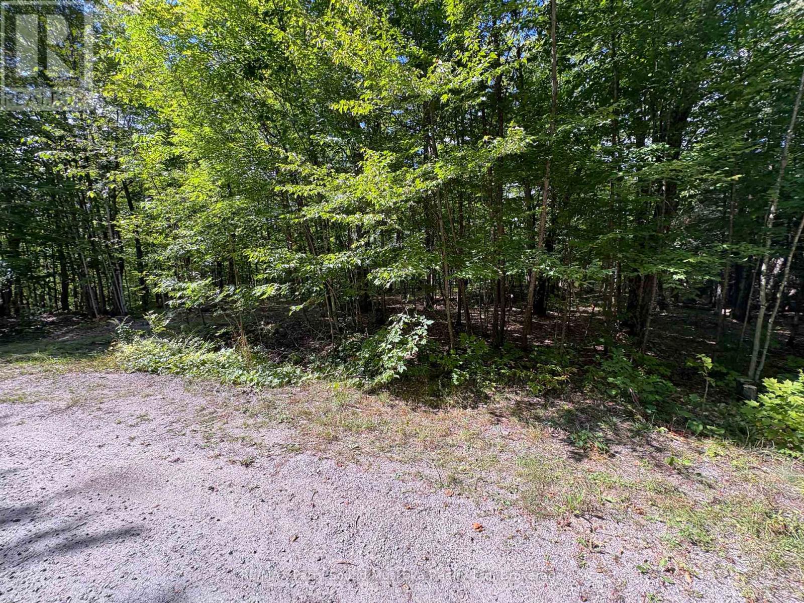 0 Dauncey Road Property Photo 2
