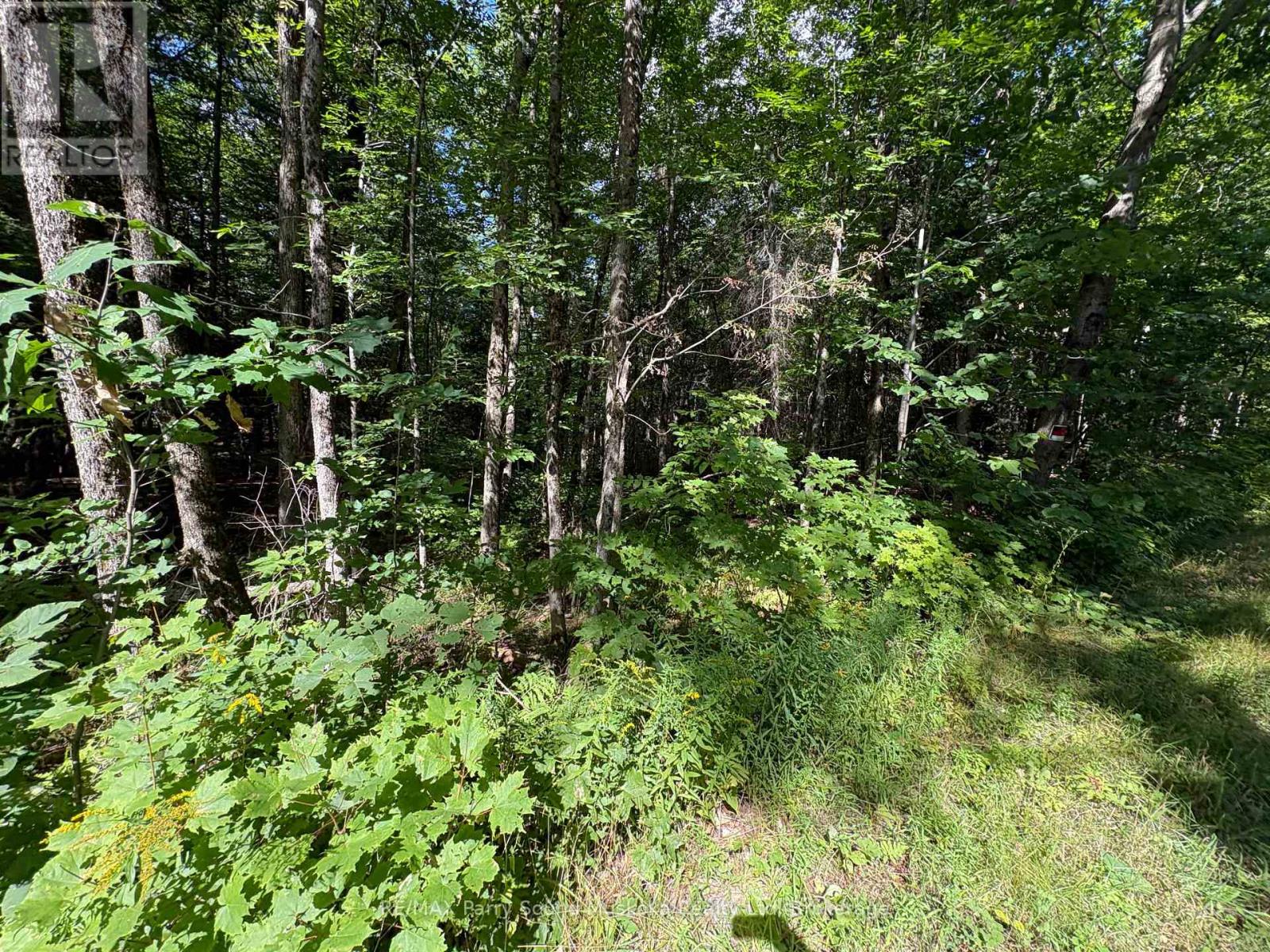 0 Dauncey Road Property Photo 6