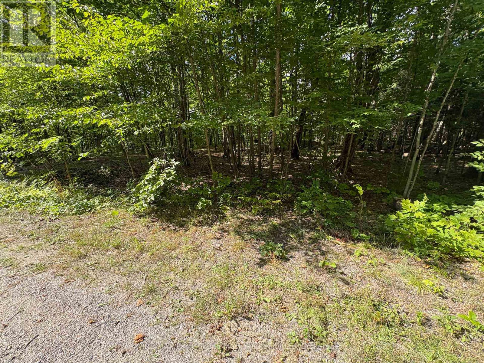 0 Dauncey Road Property Photo 9