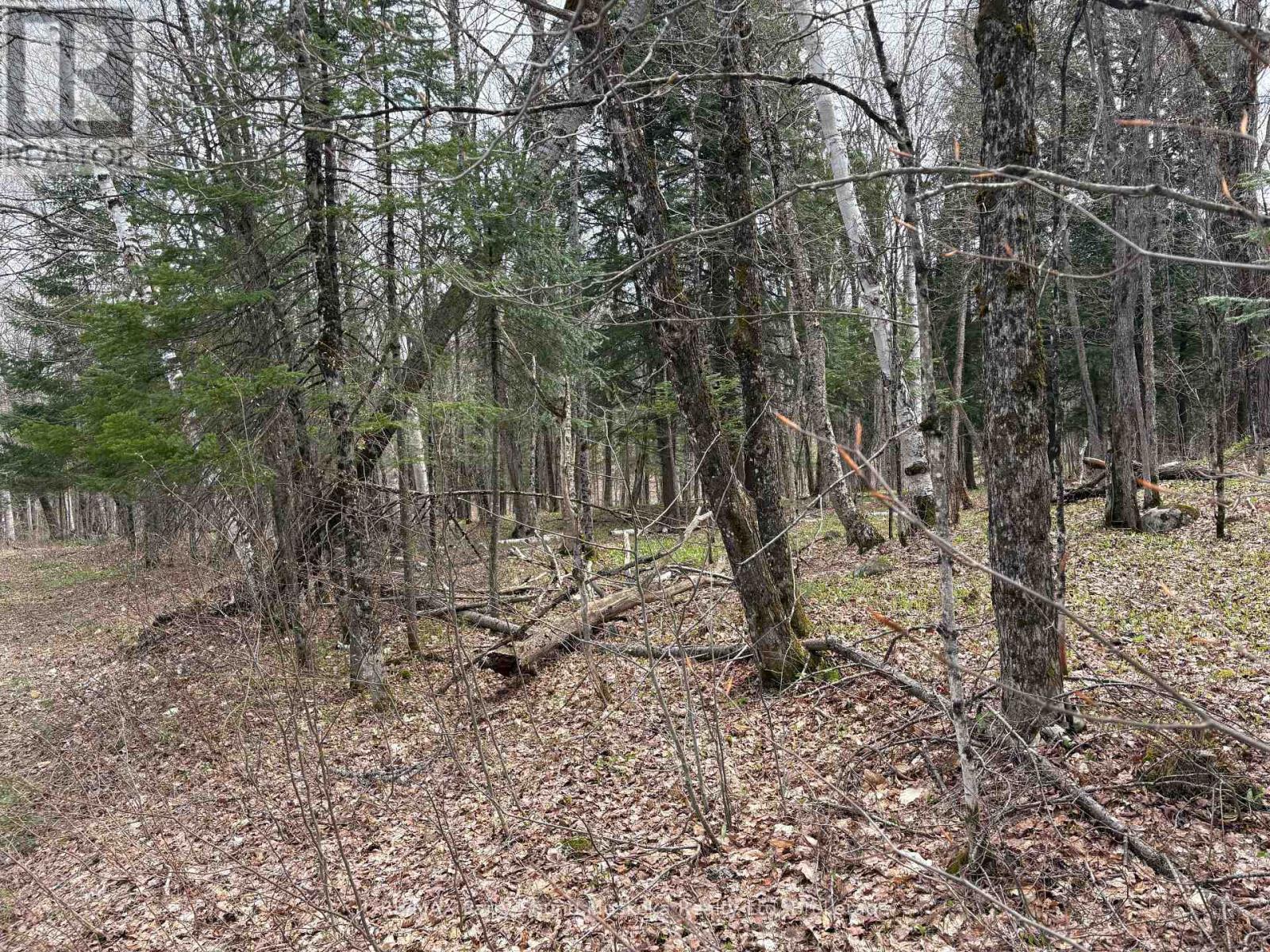0 Ahmic Lake Road Property Photo 1