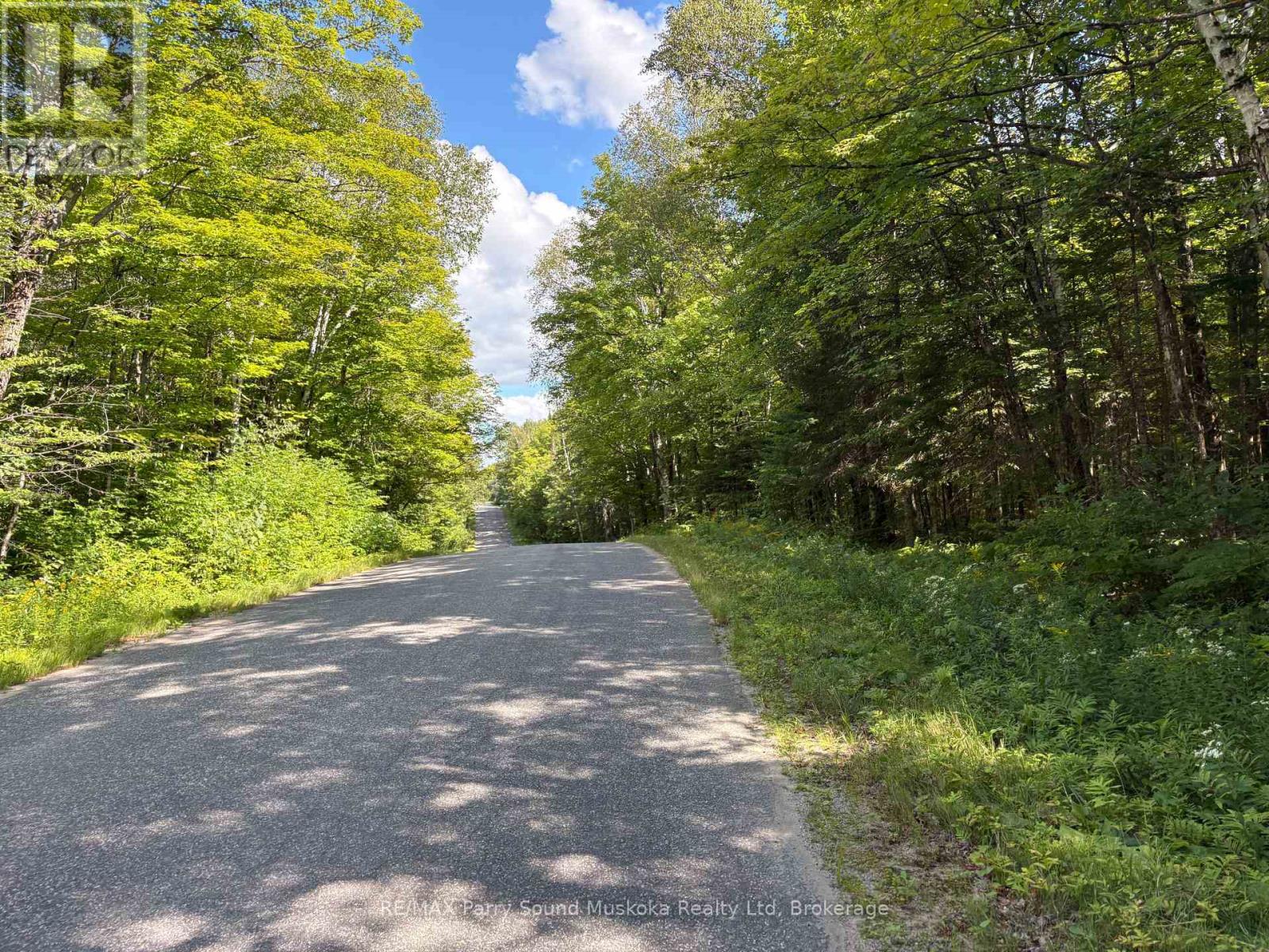 0 Ahmic Lake Road Property Photo 5