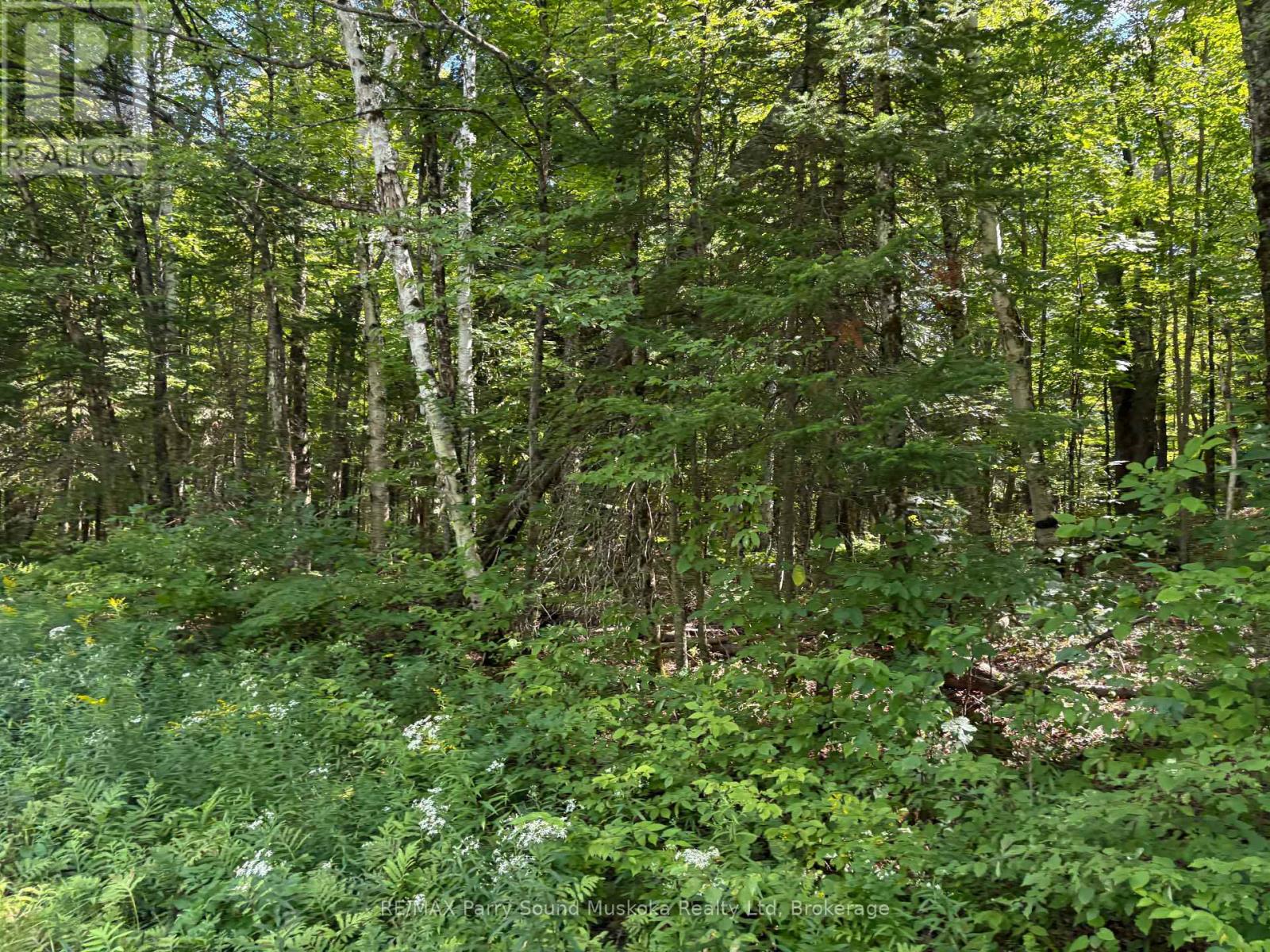 0 Ahmic Lake Road Property Photo 7