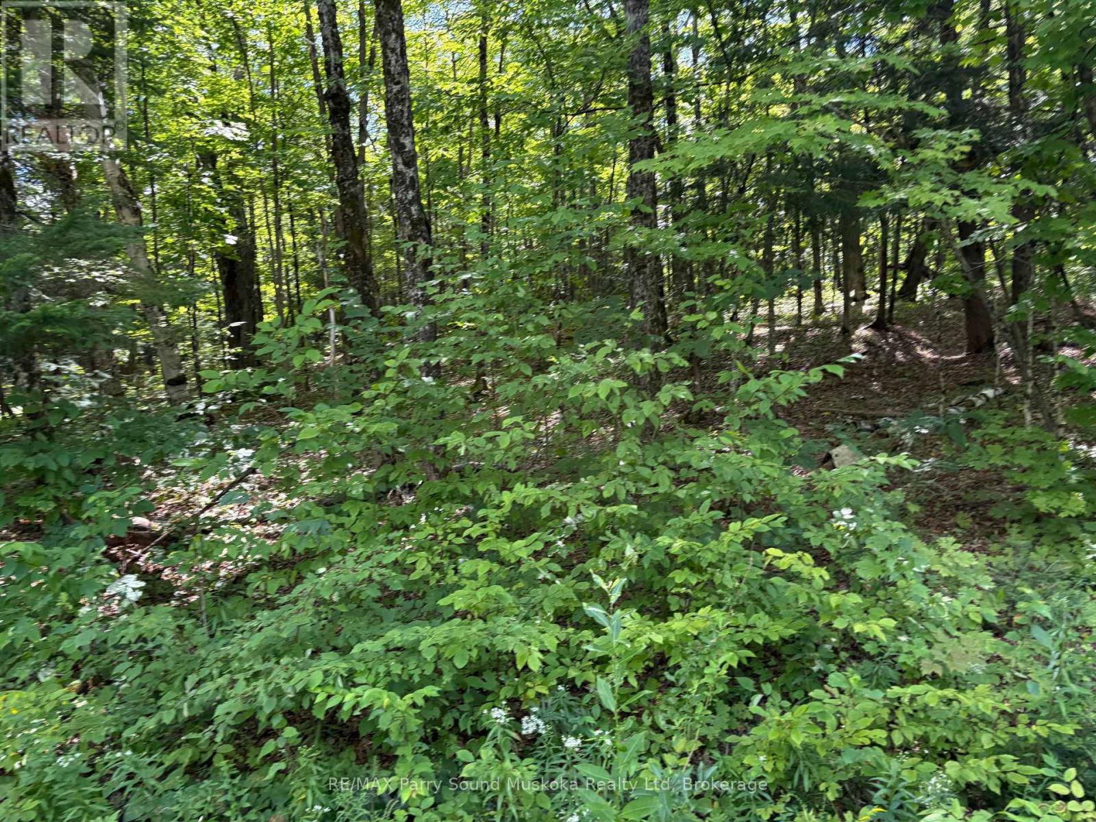 0 Ahmic Lake Road Property Photo 8