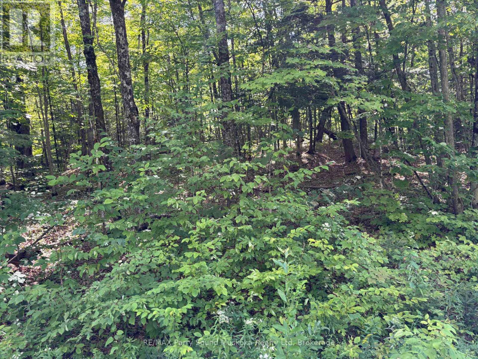0 Ahmic Lake Road Property Photo 9