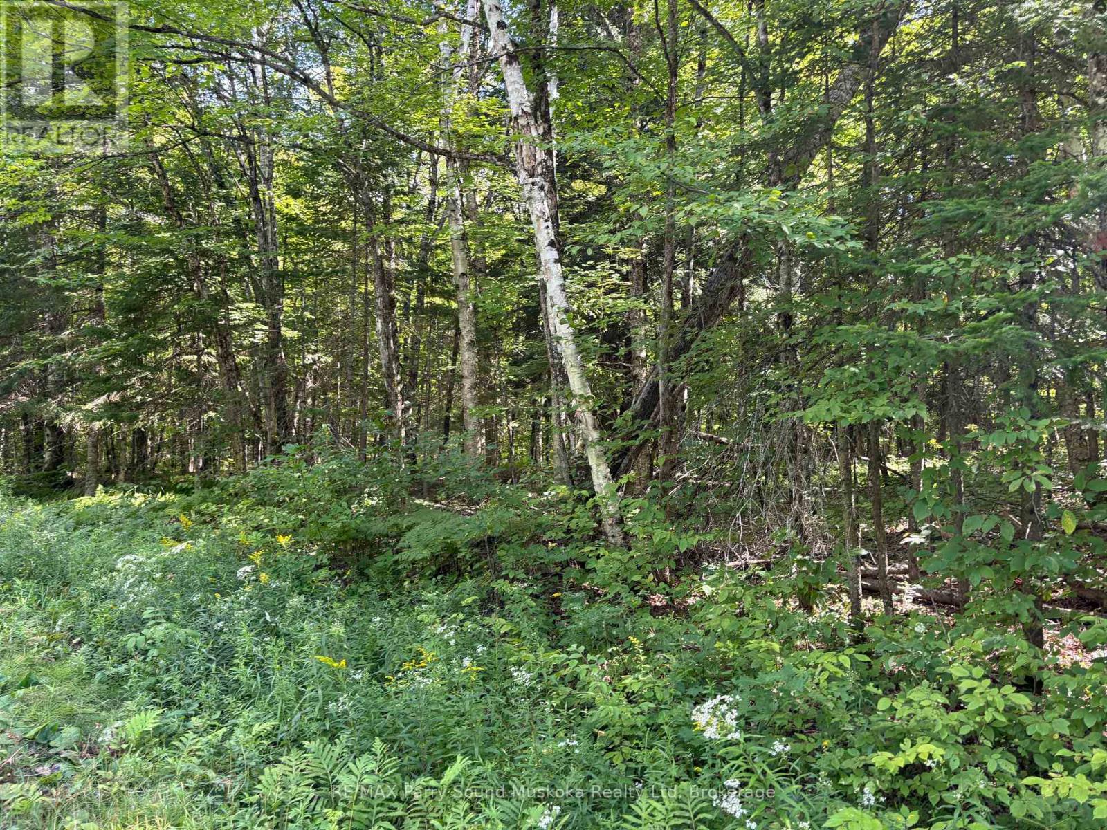 0 Ahmic Lake Road Property Photo 10