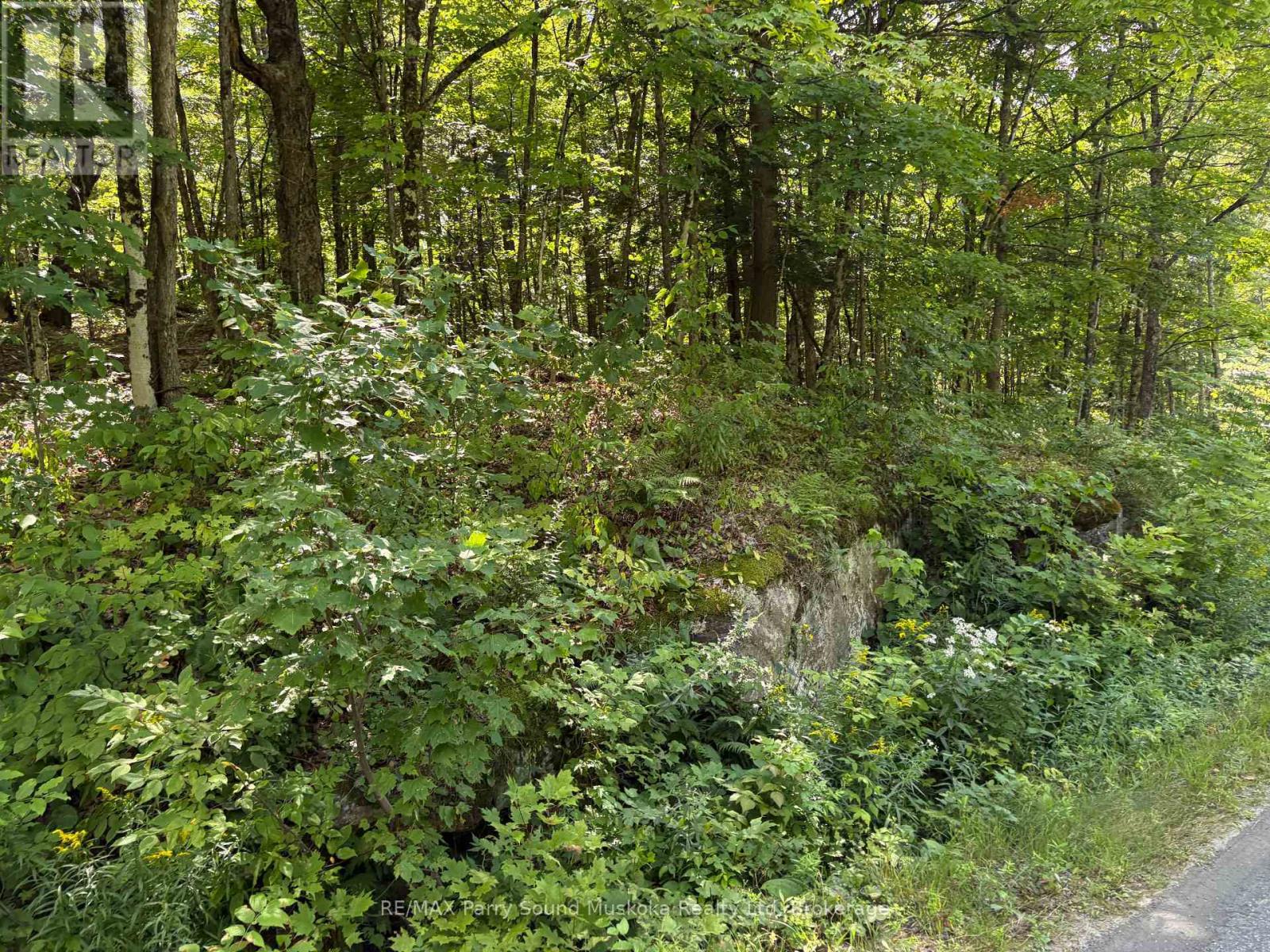 0 Ahmic Lake Road Property Photo 11