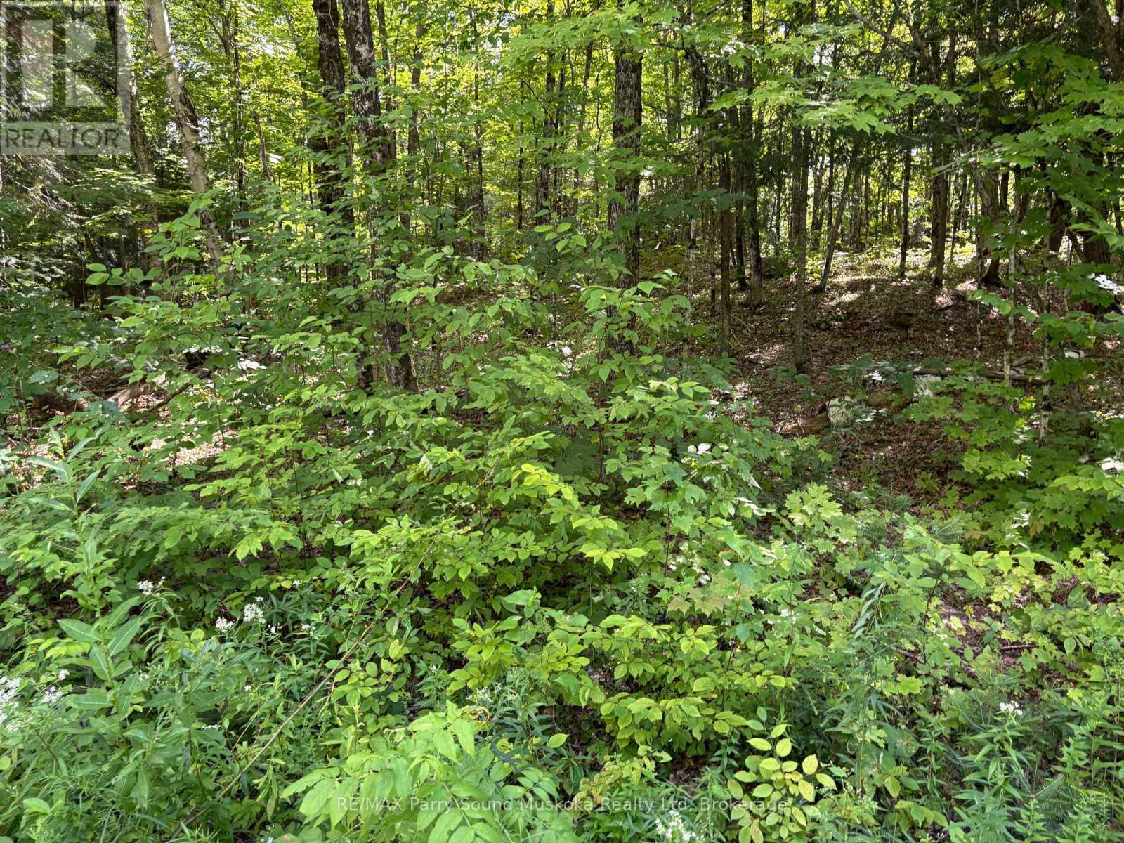 0 Ahmic Lake Road Property Photo 12